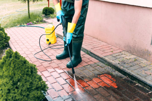 Best Roof Washing  in Steele Creek, AK